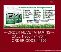 Order Nuvet Vitamins 1-800-747-7044