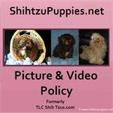 Picture and Video Policy