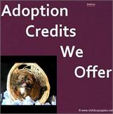 Adoption Credits We Offer
